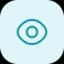 Vision Icon