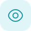 Vision Icon